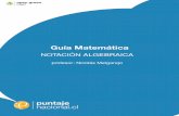 Guía Matemática - cdn.puntajenacional.cl · Guía Matemática NOTACION ALGEBRAICA ... El orden en los polinomios no es un contenido a evaluar en la PSU, ... ya que tienen diferentes