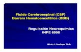 Fluido Cerebroespinal (CSF) Barrera …academic.uprm.edu/hsantiago/CSF BBB.pdfMeninges Consisten de 3 capas de membranas de tejido conectivo Proveen protección al cerebro y cordón