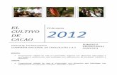 EL 24 de enero 2012 - El portal Infocafés es parte del ...infocafes.com/portal/wp-content/uploads/2016/12/paquete_tecnologic... · ... hacen compras de cacao y junto con el área