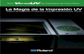 Serie de Impresoras de Cama Plana - Roland Care …support.rolanddga.com/docs/documents/departments...•Imprime en una amplia variedad de objetos de hasta 10 cm de alto • El sistema
