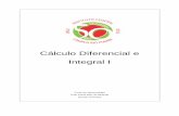 Cálculo Diferencial e Integral I - .::DCC · Cálculo Diferencial e Integral I Curso de Agroecologia Profª Paula Reis de Miranda 2012/2º semestre