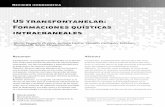 US transfontanelar: Formaciones quísticas intracranealeswebcir.org/.../diagnostico_imagenes/us_transfontanelar_esp.pdf · cerebral media y la arteria coroidea medial poste-rior.
