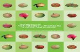 Descripción variedades manzana - serida.org · Descripción de las variedades de manzana de la D.O.P. Sidra de Asturias Autores: Enrique Dapena de la Fuente y María Dolores Blázquez