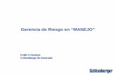 Gerencia de Riesgo en “MANEJO” - OilProduction · Schlumberger de Venezuela. 2 DRDT 31Mar04 INDICE