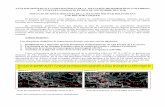 ANÁLISIS SINÓPTICO Y CLIMATOLÓGICO DE LA …lmmeteoven.webcindario.com/archivos/Analisis NOV10 cap Vasquez.pdf · Persistencia de los Sistemas Frontales sobre la cuenca del Caribe