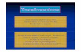 Trafo II (2011 - 01) [Modo de compatibilidad]fotosdeelectricidad.es/wp-content/uploads/2011/01/Trafo-II-2011-01.pdf · Transformadores de distribución (MT/BT) Transformadores especiales