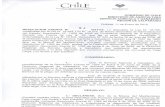 Impresión de fax de página completa - sag.gob.cl · CHiLE POTENCIA ALIMENTARIA Y FORESTA[ GOBIERNODE CHILE SAG GOBIERNO DE CHILE ... Regional del Servicio Agrícola y Ganadero,