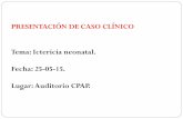 PRESENTACIÓN DE CASO CLÍNICO Tema: Ictericia neonatal ...pediatria.fundacionpatino.org/docs/news/cc25052015_27.pdf · Ictericia Neonatal Fisiológica Patológica CRITERIOS DE ICTERICIA