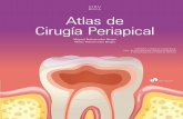 Atlas de Cirugía Periapical - ergon.esergon.es/wp-content/uploads/2015/05/primeras_odonto_atlas_cir... · Atlas de Cirugía Periapical ISBN 978-84-15351-95-5 Atlas de ... endodoncia