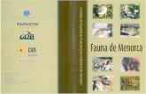 Fauna de Menorca - biosferamenorca.org de Menorca.pdf · campestre (Anthus campestris), el triguero (Miliaria calandra) o la tarabilla común (Saxicola torquata). Curruca rabilarga