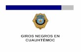 GIROS NEGROS EN CUAUHTÉMOC - …archivo.eluniversal.com.mx/graficos/graficosanimados/EU_girosnegro... · problemÁtica : reunion de malvivientes y riÑas ... observaciones se dice