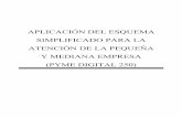 APLICACIÓN DEL ESQUEMA SIMPLIFICADO PARA LA ATENCIÓN DE LA PEQUEÑA Y …catarina.udlap.mx/.../lcp/hernandez_c_e/capitulo2.pdf · 2006-01-06 · un avalúo de la maquinaria existente