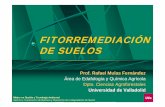 Área de Edafología y Química Agrícola Dpto. Ciencias ...depa.fquim.unam.mx/amyd/archivero/IQM_fitorremediacion_Valladolid... · La dinámica del ecosistema y sus procesos ...