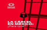 LA CÁRCEL EN MÉXICO: ¿Para qué? - mexicoevalua.org · 9 b. México: ¿Para qué deberían servir las cárceles y para qué sirven en realidad? 11 c. Propósito general del documento