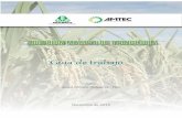 ADOPCIÓN MASIVA DE TECNOLOGÍA - fedearroz.com.cofedearroz.com.co/docs/Guia_de_trabajo_baja.pdf · PROGRAMA GENERAL DE ASISTENCIA TECNICA ... presentan los lotes de arroz y dejar
