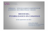 BIODIESEL: POSIBILIDADES EN CANARIASproyectotres.itccanarias.org/files/6-Andrea_Brito-Biodiesel... · Mono-Di-Triglicéridos Mono < 0,8% ... Fruto Aceituna Palma coco Semillas Girasol