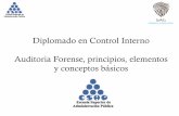 Diplomado en Control Interno Auditoria Forense, principios ...€¦ · como&Curso&Inves>gación&de&la&Delincuencia&Tecnológica,&Análisis ... Pon>ﬁcia& Universidad& Javeriana&