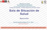 Dirección Regional de Salud Ayacucho Dirección Ejecutiva ... · La sala de situación de salud es un producto de ... Análisis Situacional de ... MONTERRICO ALTA MAYAPO LLOCHEGUA