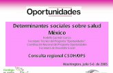 Determinantes sociales sobre salud México - who.int · Determinantes sociales sobre salud ... Baja California, Chihuahua, Colima, Jalisco, Morelos y Tabasco ⇒Transición incipiente:
