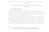 CAPÍTULO II. TRIBUNAL CONSTITUCIONAL Y JUSTICIA ...catarina.udlap.mx/u_dl_a/tales/documentos/ledf/sandoval_c_d/... · Tribunal Constitucional y Justicia Constitucional en México.