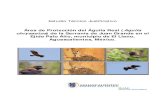 Área de Protección del Águila Real (Aquila chrysaetos ... · Área de Protección del Águila Real de la Serranía de Juan Grande en el Ejido Palo Alto. 5.3. Usos y aprovechamientos,