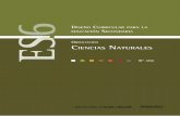 ORIENTACIÓN CIENCIAS NATURALES - DPTI - Servicios …servicios.abc.gov.ar/lainstitucion/organismos/consejogeneral/dise... · Física clásica y moderna | ... Calle 13 entre 56 y