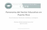 Panorama del Sector Educativo en Puerto Rico - pr.gov · En 2010, el grupo en edad escolar y postsecundaria representa cerca del 30% ... estudiantes del 2002 al 2013. ... 160 180
