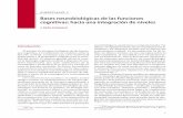 Bases neurobiológicas de las funciones cognitivas: hacia …media.axon.es/pdf/63751.pdf · Introducción El estudio de las bases biológicas de las funcio-nes cognitivas, y la definición