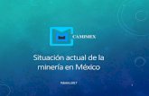 Situación actual de la minería en Méxicoarchivos.diputados.gob.mx/Comisiones_LXIII/agua/ponencias/29.pdf · Mina Charay (Au) Rose Petroleum San Ignacio ... • México cuenta con
