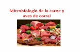 Microbiología de la carne y aves de corral - sgpwe.izt.uam.mxsgpwe.izt.uam.mx/files/users/uami/acym/microbiologia_de_carne_y... · Salmonella. Aves de corral frescas . Alteración