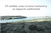 El carbón como recurso natural y su impacto ambientaldepa.fquim.unam.mx/amyd/archivero/carbon_32596.pdf · de saneamiento que consiste en ... carbón significa el 2.2 % del PIB.