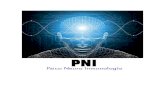 Introducción a la Psico-Neuro-Inmunología (P.N.I.) · Psico-Neuro-Inmunología, a menudo llamada PNI, ... Hemos avanzado mucho desde la teoría de la "curación humoral," sin embargo,