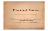 Introduccion a la entomologia forense - RUA: Principal · El médico forense tiene muy diversas funciones. Las relacionadas con los cadáveres son: ... Introduccion a la entomologia