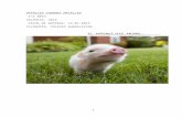 filosofiaguadalaviar1bac.files.wordpress.com  · Web viewModelo psicométrico clásico…página 9. Modelo integrador…páginas 10 y 11. 3.5 Comparación entre inteligencia animal