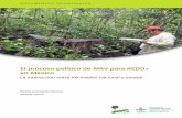 El proceso político de MRV para REDD+ en México - cifor.org · Medición del madereo de impacto reducido y la captura de carbono en el área de tala anual ... incluidas la conservación