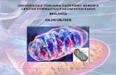 GLUCOLISIS - biologiamyblog.files.wordpress.com · GLUCOLISIS FASE DE BENEFICIOS Conversión de Gliceraldehido - 3 - Fosfato en Piruvato y formación acoplada de ATP Gliceraldehido
