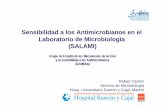 Sensibilidad a los Antimicrobianos en el Laboratorio de ... · de gestión del laboratorio (LIS) en el 72,5% Sistemas automáticos (n=60) Sensibilidad a los Antimicrobianos en el