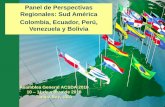 Panel de Perspectivas Regionales: Sud América …plotwebs.com/acsda/images/Docs/asambleas-generales/... · BOLSA DE CARACAS (BVC) (Acciones) / SITRAD 2000 CVV (Deuda ... a la creación