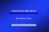 Coaching de Ejecutivos - capsulasdemarketing.com · La variedad de la formación de los coaches de ejecutivos (como en negocios, leyes, profesores, actuación y deportes) ha llevado