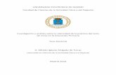 UNIVERSIDAD POLITÉCNICA DE MADRID Facultad de Ciencias de ...oa.upm.es/39631/1/ALFREDO_IGLESIAS_DELGADO_DE_TORRES.pdf · en Ciencias de la Actividad Física y el Deporte (INEF. Madrid).