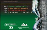 Prevención de lesiones Manual de capacitaciónwhqlibdoc.who.int/publications/2008/9789275316306_spa.pdf · ACCIDENTES, TRÁNSITO—prevención y control 2. ... de otros sectores,