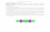 LECCIÓN 10. MOLÉCULAS DIATÓMICAS - uco.es · lección 10 química física (curso 2010-11) 222 diagramas de correlaciÓn y configuraciÓn electrÓnica de molÉculas diatÓmicas