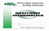 I: Introducción a la auditoría informáticafiles.aiute.webnode.es/200000042-e2df9e4d49/Libro-Auditoria.pdf · FASES DE LA AUDITORIA INFORMÁTICA ... auditoría, así como lo expuesto