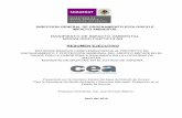 MANIFIESTO DE IMPACTO AMBIENTAL …sinat.semarnat.gob.mx/dgiraDocs/documentos/son/resumenes/2010/26… · direccion general de or manifiesto modalidad particular resumen ejecutivo