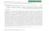 Metabolismo de los lípidos en los rumiantes - Lipid … · 2010-08-08 · Revista electrónica de Veterinaria 1695-7504 ... resto son esterificados e incorporados a lipoproteínas
