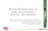 Proceso de tintura para el Fique con Colorantes Directos ...repositorio.artesaniasdecolombia.com.co/bitstream/001/3335/1/INST-D... · Proceso de tintura para el Fique con Colorantes