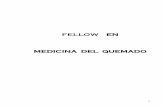 FELLOW EN MEDICINA DEL QUEMADO - Hospital … · 2 FELLOW EN MEDICINA DEL QUEMADO Lugar de aplicación del Programa Centro de excelencia para la atención de Pacientes Quemados (CEPAQ)
