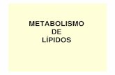 METABOLISMO DE LÍPIDOSecaths1.s3.amazonaws.com/quimicaorganicafaz/875735619... · 2012-09-10 · Catabolismo de los Ácidos Grasos Transporte de Ácidos Grasos: LOS VEGETALES NO