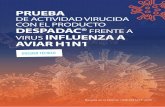 PRUEBA - bioseguridad.net · bioseguridad.net | Leer artículo online 3 SOBRE EL VIRUS DE INFLUENZA AVIAR El virus de la gripe aviar es un virus de la familia Orthomyxoviridae.