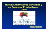 Nuevas Alternativas Varietales y su Potencial …chilealimentos.com/medios/Servicios/Seminarios/2010/Conferencia... · Variedades Tradicionales utilizadas en Chile Arandanos Southern